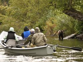 Grizzly bear tour in British Columbia