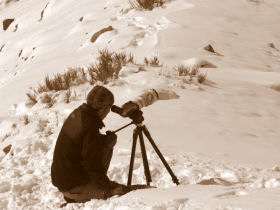 Snow Leopard tracking in the Himalayas