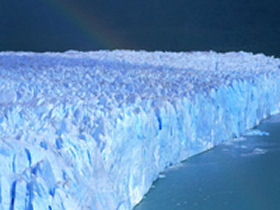 Whale watching tour in Argentina