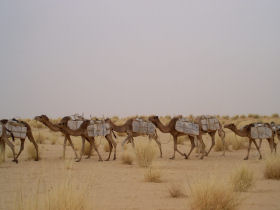 Music festival on the Niger River, Mali