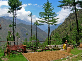 Langtang Valley trekking holiday, Nepal
