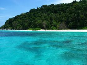 Scuba diving conservation in Malaysia