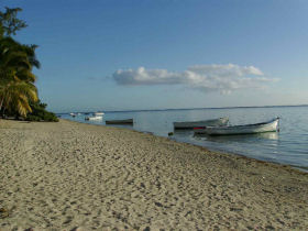 Mauritius marine research project