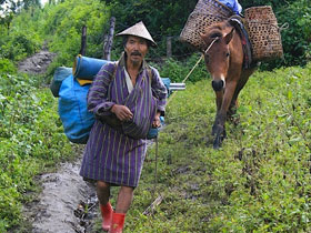 Wildlife trekking holiday in Bhutan