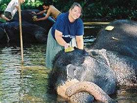 Volunteer at an elephant sanctuary in Sri Lanka
