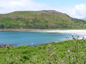 Isle of Mull marine wildlife holiday in Scotland