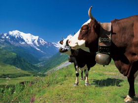 Mont Blanc family walking holiday, France