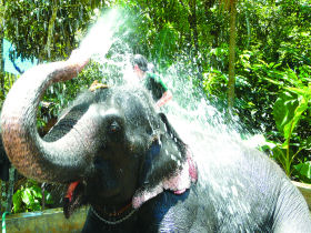Family holiday in India, the backwaters of Kerala