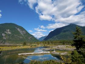 Grizzly bear tour in British Columbia