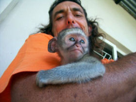 Vervet monkey volunteering, South Africa
