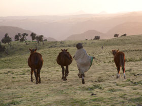 Tailormade tour of Ethiopia