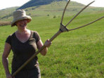 Farmstays