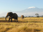 Africa holidays