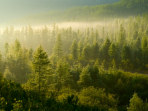 Wilderness accommodation