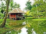 Homestays, main image