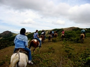 Horse riding holidays, main image