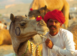 Incredible India, desert