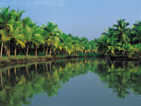 Incredible India, backwaters