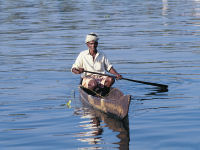Incredible India, backwaters