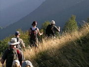 Introductory walking, main image