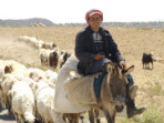 Jordan travel guide