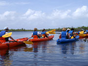 Kayaking, Cayman Islands. Photo by Cayman Islands Tourist Board