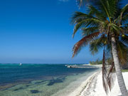 Beach on Little Cayman, Cayman Islands. Photo by Cayman Islands Tourist Board