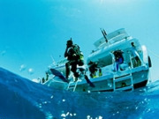 Liveaboard diving holidays, main image