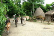 Village life, Jungle lodge in Nepal