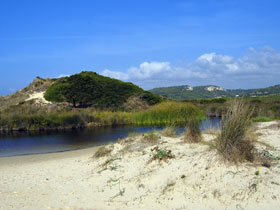 Wetlands, Menorca