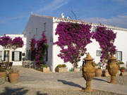 Biniarroca. Photo by Biniarroca