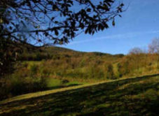 Pyrenees gite