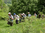 Moderate walking, main image
