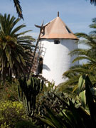 The Museo Agricola el Patio, Lanzarote. Photo by Nick Haslam