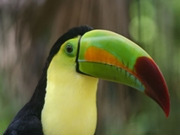 Nature & wildlife day tours, main image