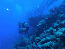 Surveying, Madagascar marine conservation