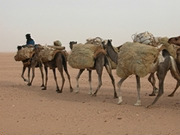 Niger holidays, main image
