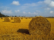 Norfolk holidays, main image