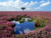 North York Moors holidays, main image