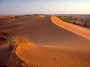 Sand dunes