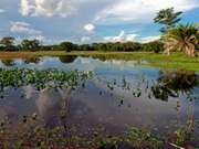 Pantanal holidays, main image