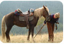 Great value Europe activity holidays