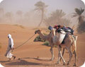 Holidays with �50 discount