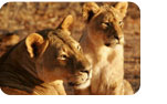 Great value conservation holidays