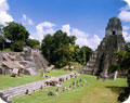 Tours and activities with special offers