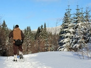Quebec holidays, main image