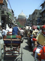 Northern India holidays