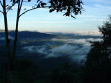View, rainforest conservation