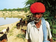 Rajasthan holidays, main image