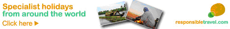 Banner 2